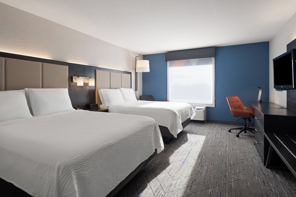 Holiday Inn Express St. Petersburg North by IHG - photo 8