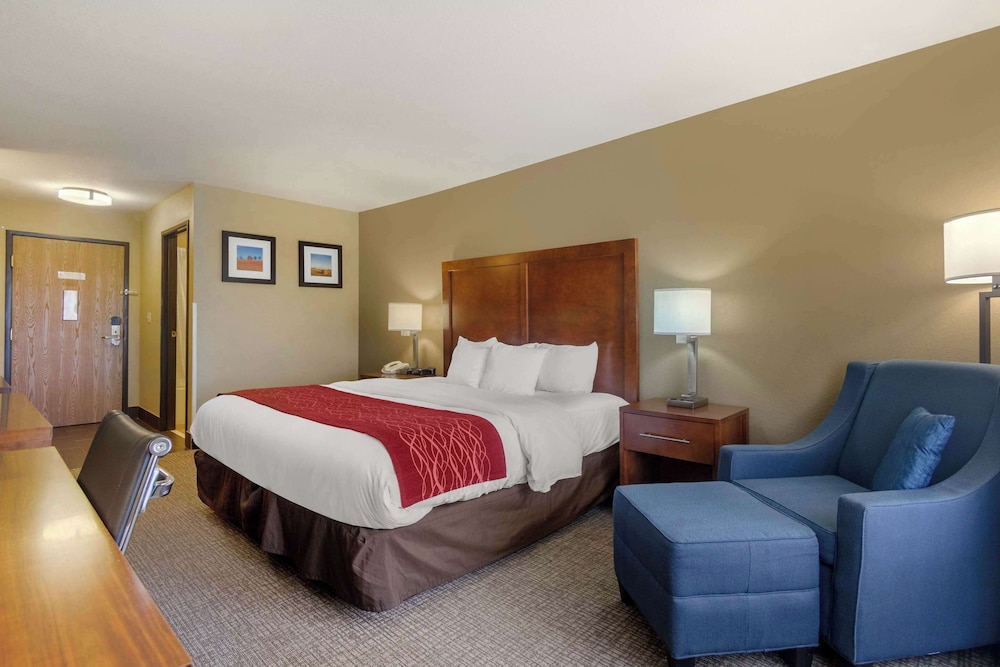 Comfort Inn & Suites Pittsburg KS - photo 19