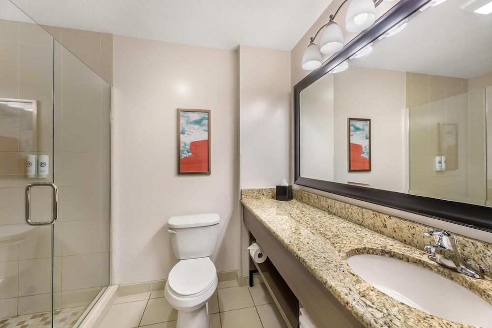 Comfort Inn & Suites Dover - photo 15