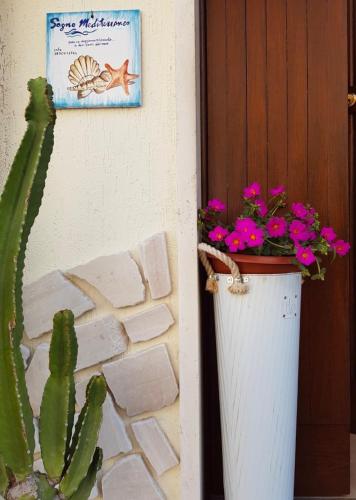 Sogno Mediterraneo — Formia