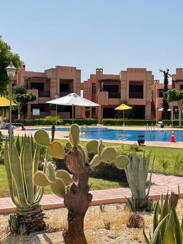 Merveilleuse Marrakech — 4-Star Luxury Hotel in Marrakesh, Morocco