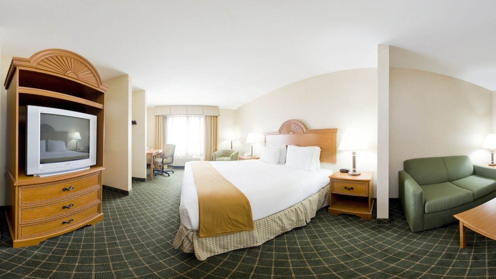 Holiday Inn Express Hotel & Suites Sylacauga by IHG - photo 4