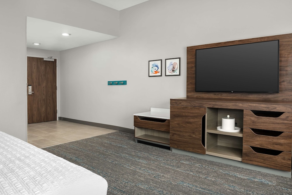 Hampton Inn by Hilton Orlando Southeast Nona - photo 10