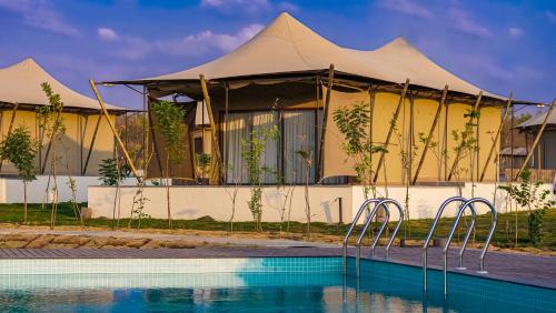 Untamedpaws in Unknown City, India