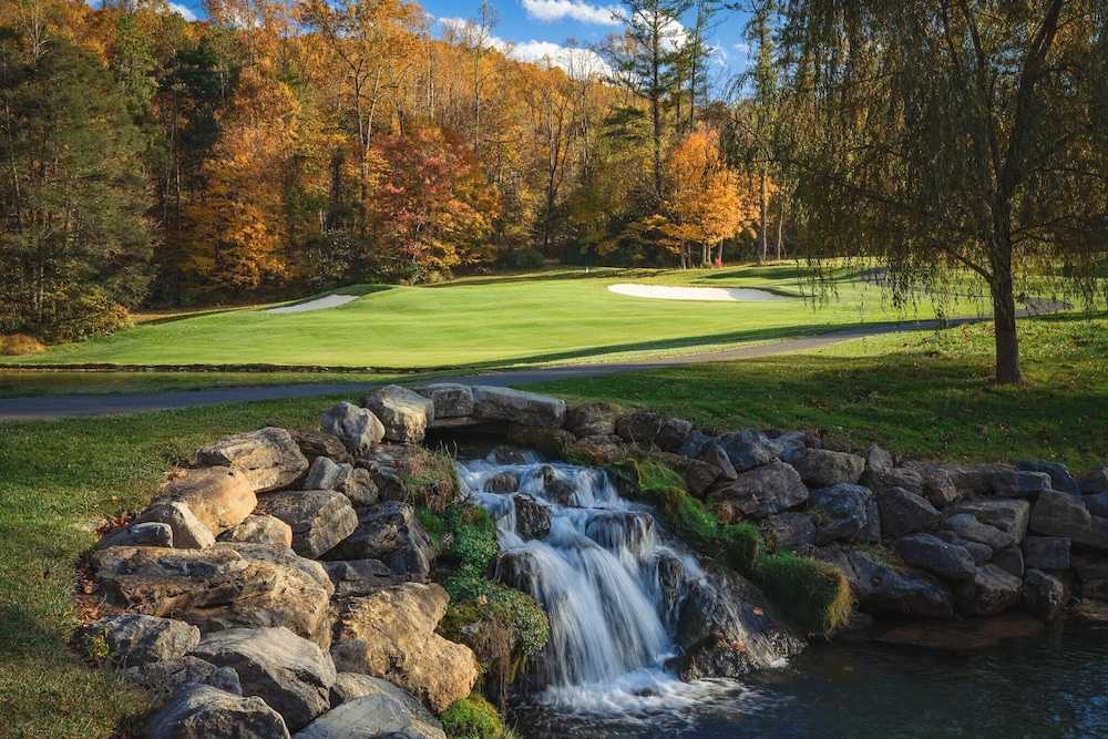 The Omni Homestead Resort & Spa - photo 106