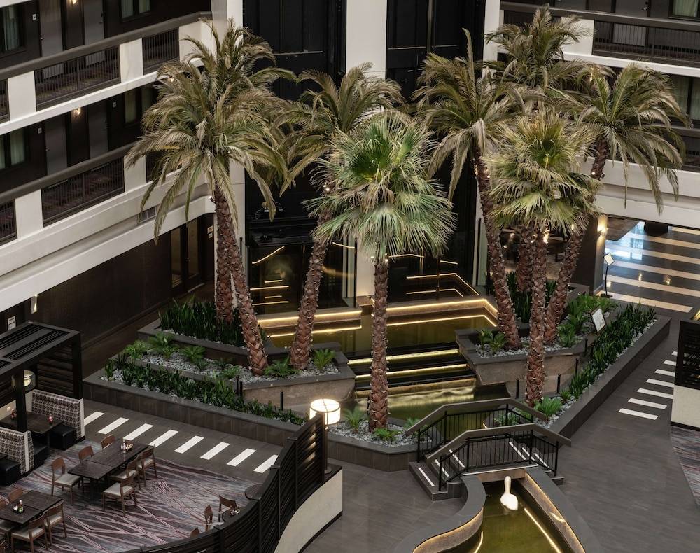 Embassy Suites by Hilton Las Vegas - photo 5
