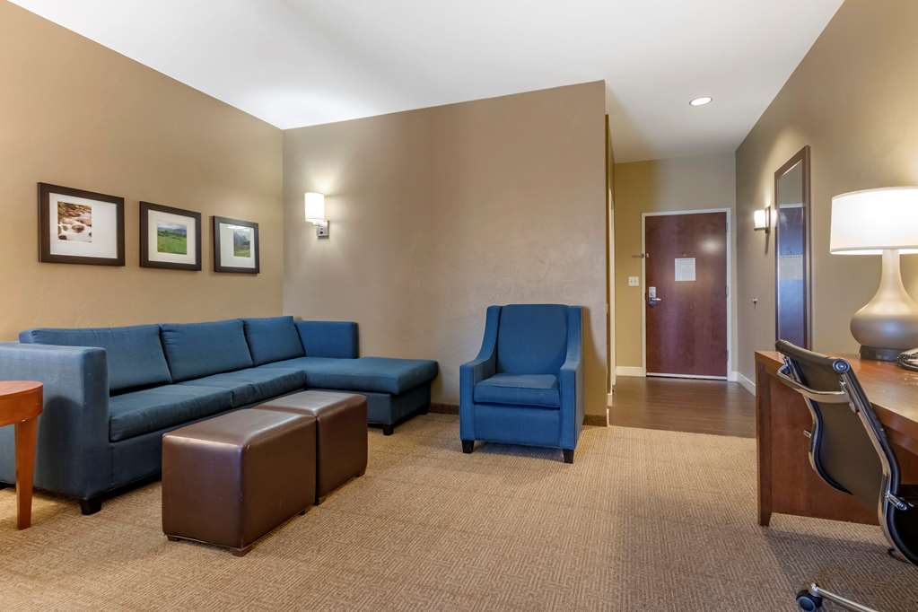 Comfort Suites Airport University - photo 20