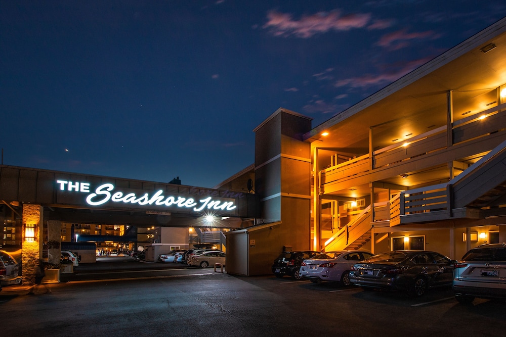 Seashore Inn on the Beach - photo 36