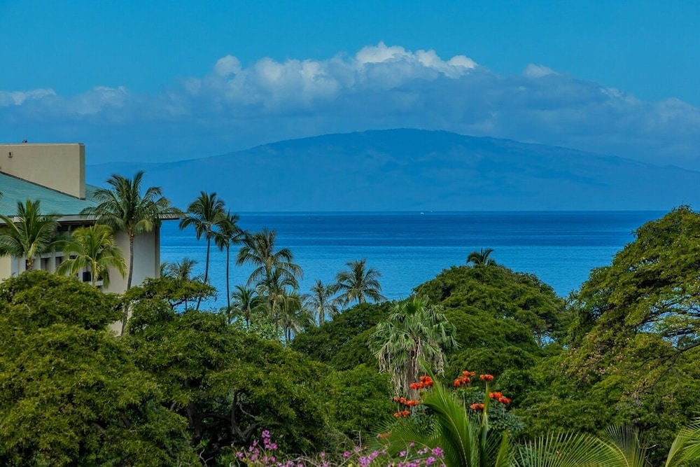 Ho'olei Ocean View by Coldwell Banker Island Vacations - photo 163