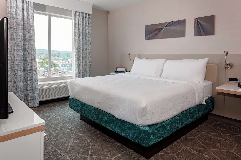 Hilton Garden Inn Colorado Springs Downtown - photo 42
