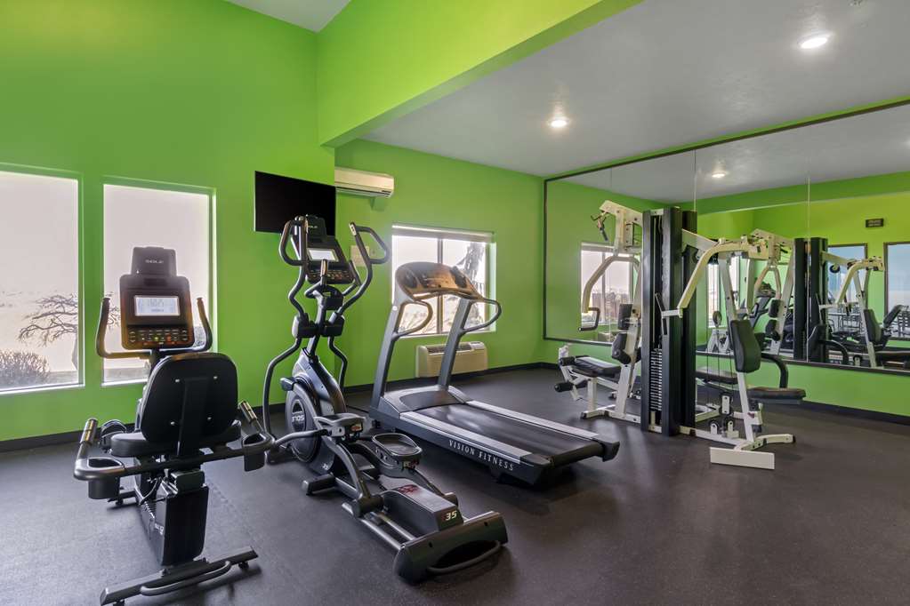 Best Western Plus Grapevine Inn - photo 8