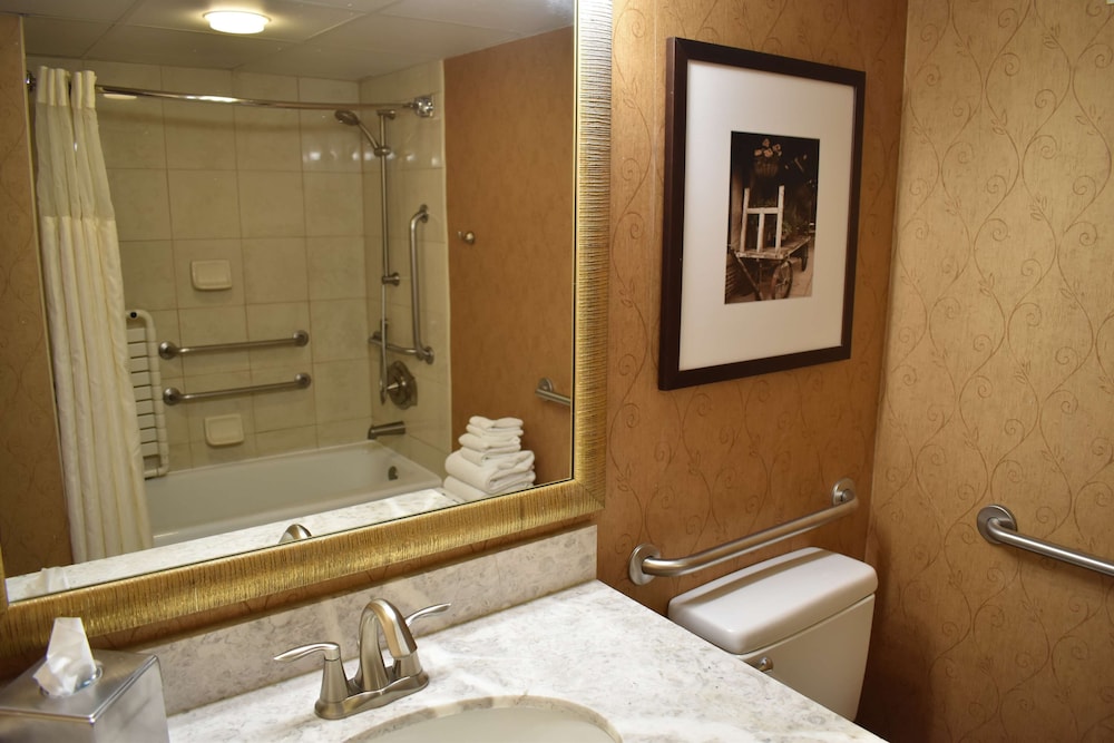 DoubleTree by Hilton Asheville Biltmore - photo 63