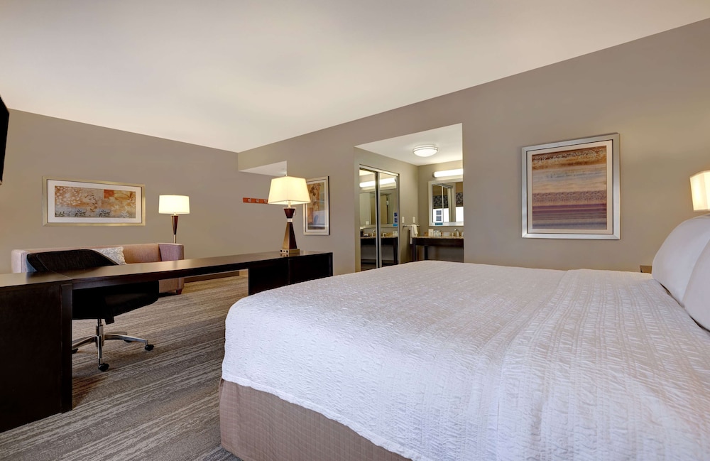 Hampton Inn & Suites Tampa Northwest Oldsmar - photo 13