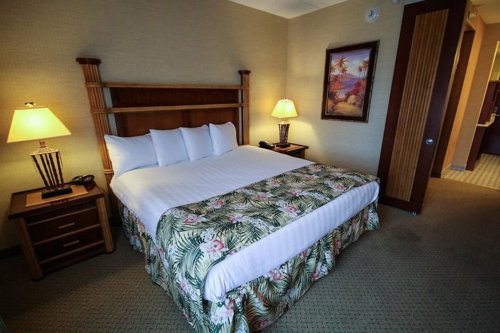 Maui Sands Resort & Indoor Waterpark - photo 20