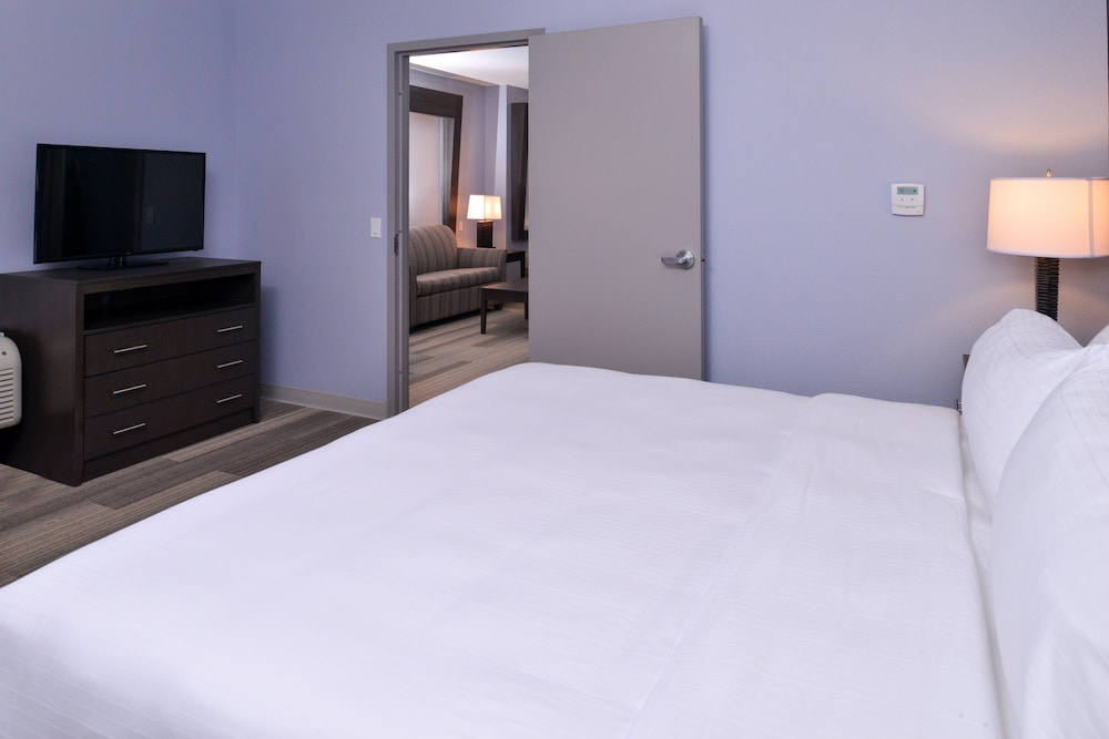 Holiday Inn Express & Suites Loma Linda San Bernardino S by IHG - photo 10