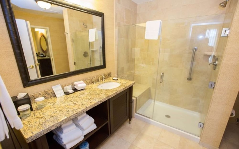Embassy Suites by Hilton Savannah Historic District - photo 30