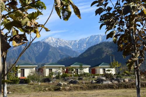 Dhauladhar View Village Resort — hotel near Kangra Airport
