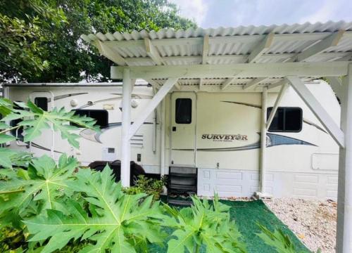 RV in the Little Jungle by Legnalife in Homestead, United States