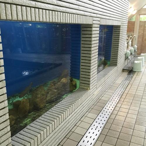 Marunuma Onsen Kankoso in Nikko, Japan