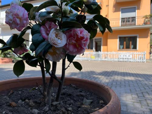 Cà del Fili — hotel in Lenno