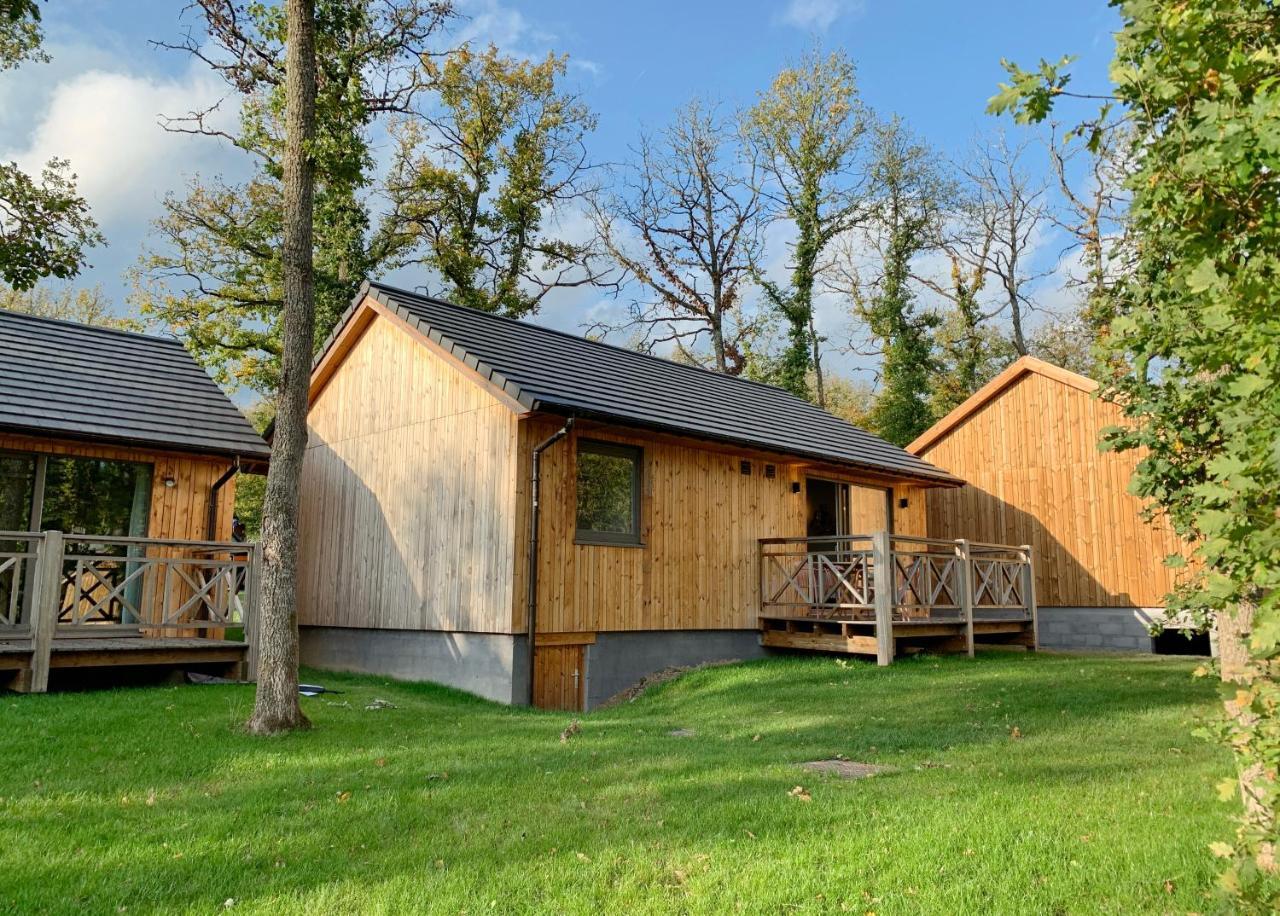 Bois de l'Ourthe 202 — hotel in Somme-Leuze