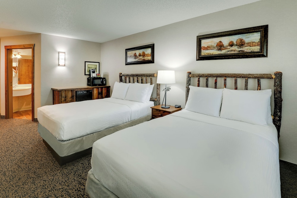 Stoney Creek Hotel St. Joseph - photo 9