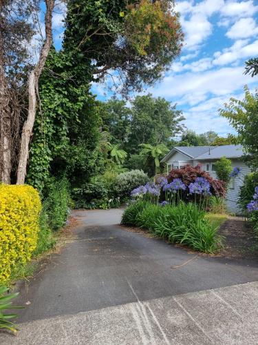 Papa’s place in New Plymouth, New Zealand