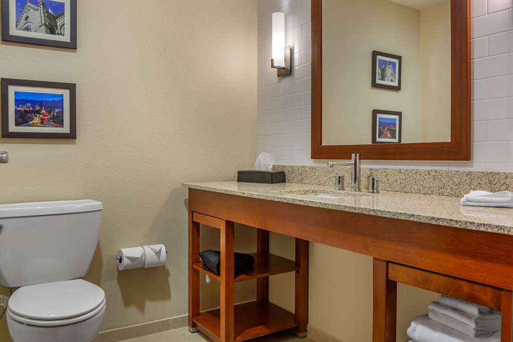 Comfort Inn & Suites Boise Airport - photo 33
