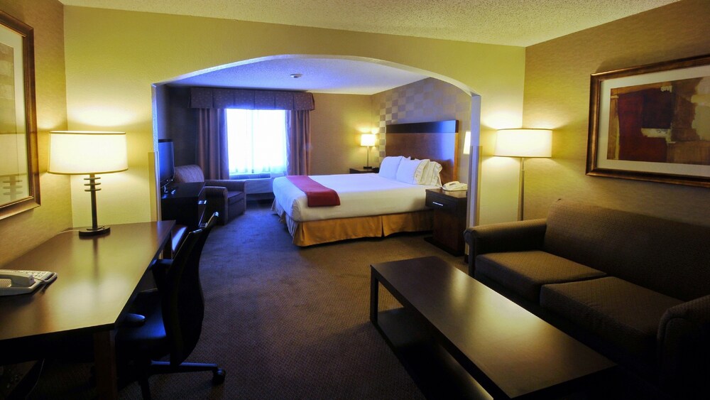 Holiday Inn Express & Suites Denver SW Littleton by IHG - photo 8