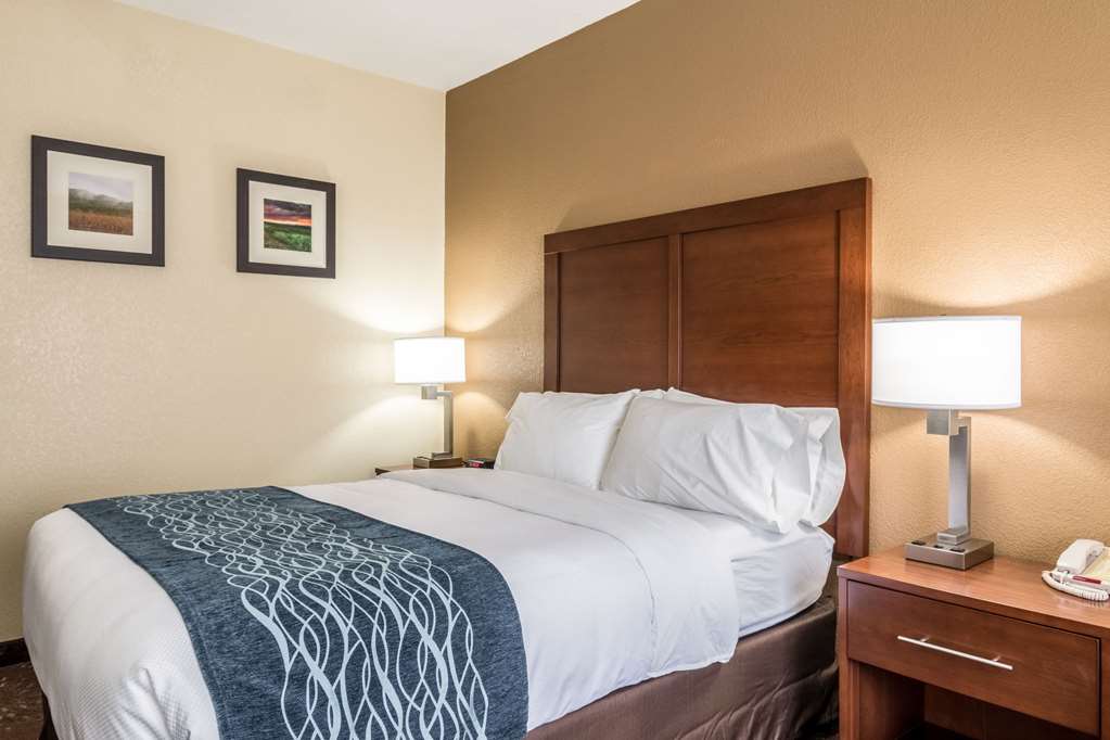 Comfort Inn & Suites Hannibal - photo 8