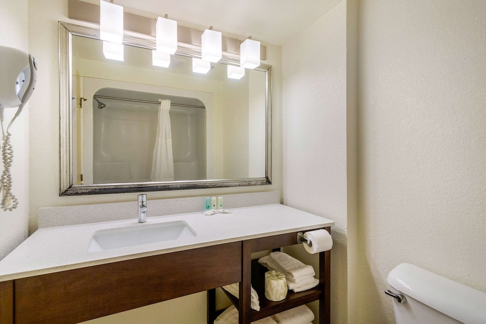 Quality Inn & Suites Olde Town - photo 29