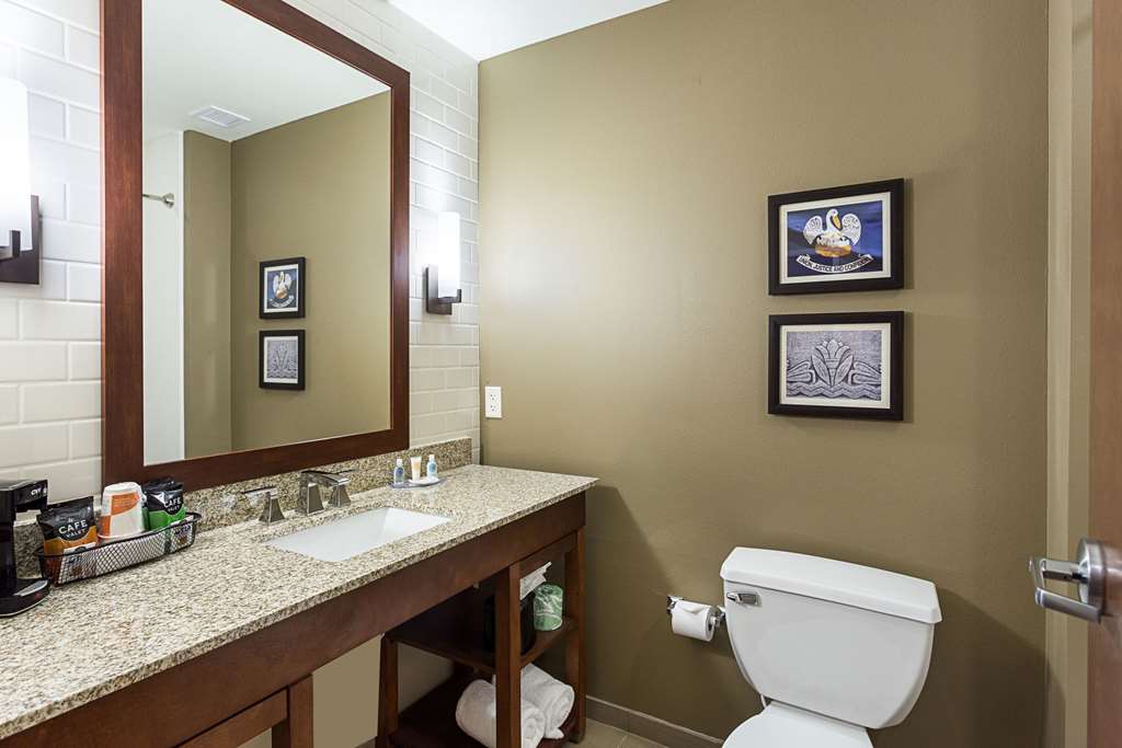 Comfort Inn & Suites Zachary - photo 21