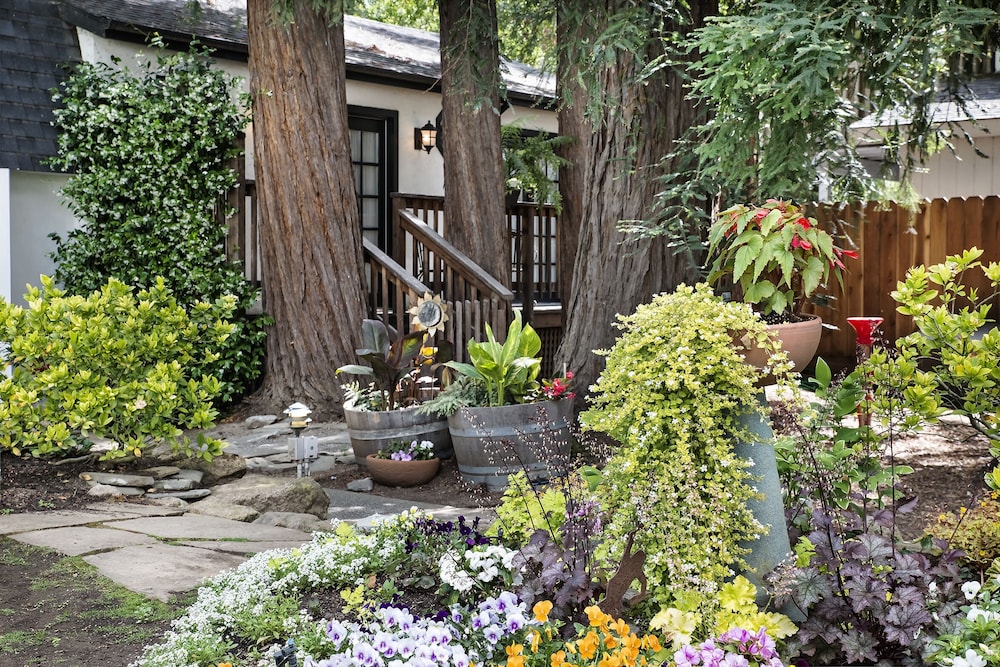 Candlelight Inn Napa Valley - photo 34