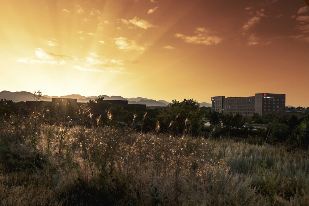 Denver Marriott Westminster - photo 2