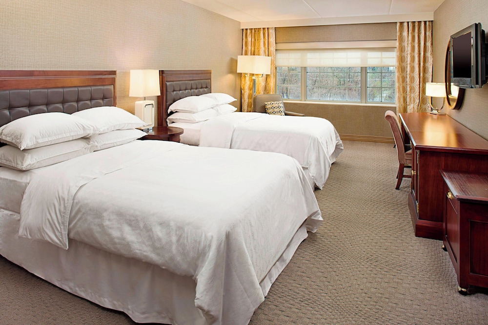 Sheraton Rockville Hotel - photo 6