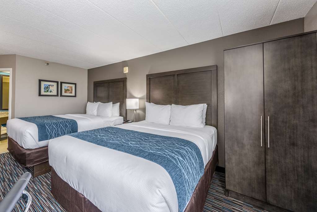 Comfort Inn Chicago Schaumburg O'Hare Airport - photo 13