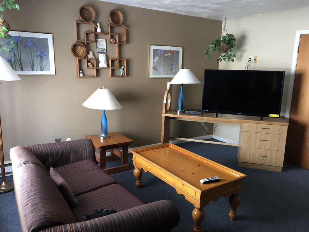 Village Inn Motel Holt - photo 7