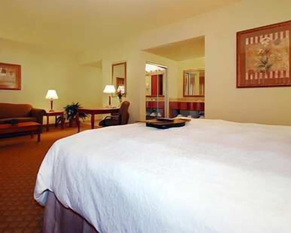 Hampton Inn & Suites Pharr - photo 7