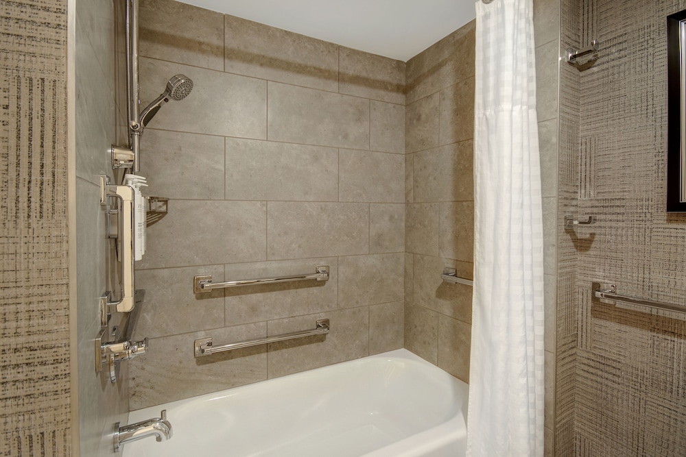 Embassy Suites by Hilton Detroit Metro Airport - photo 23