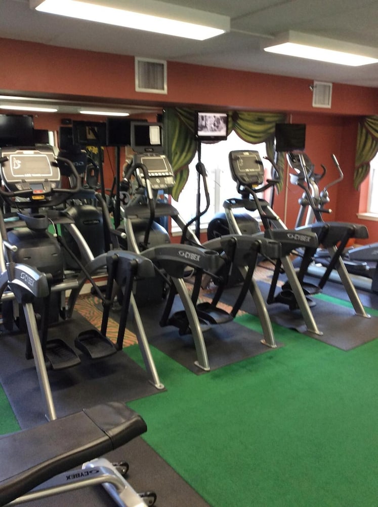 Senator Inn & Spa - photo 95