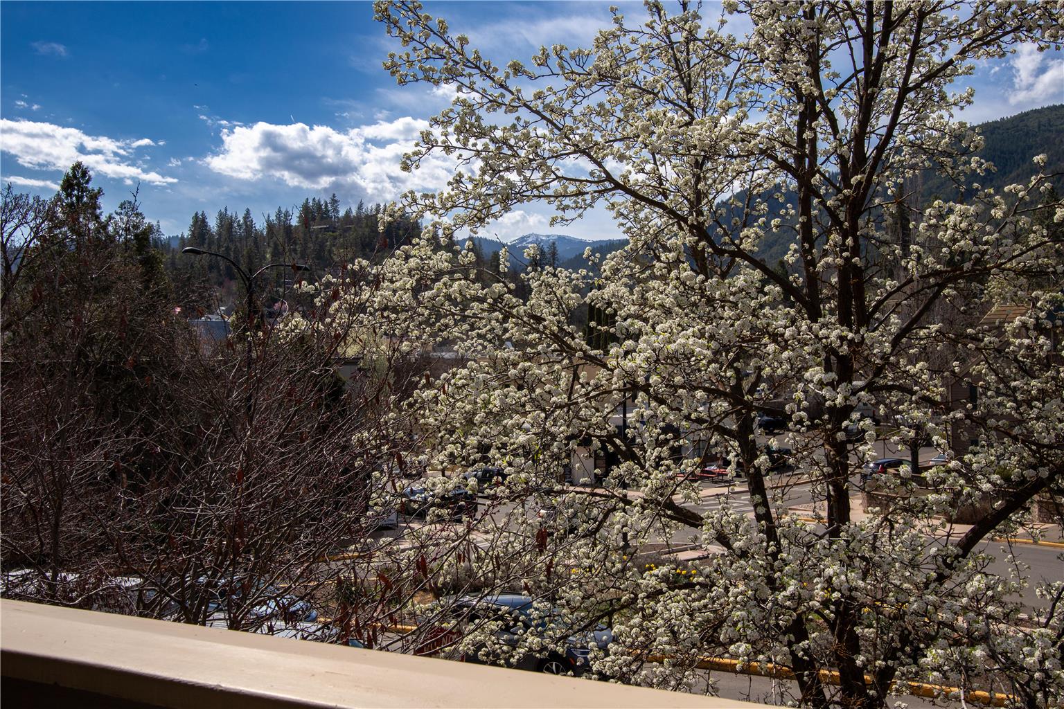 The Bard's Inn BW Signature Collection by Best Western - photo 61