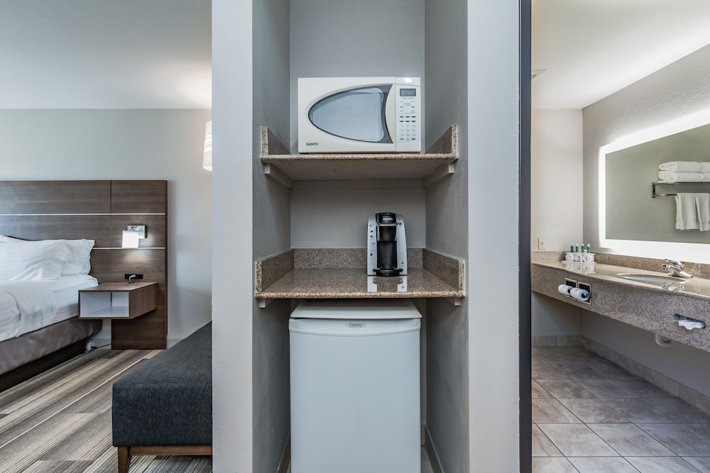 Holiday Inn Express Hotel & Suites South Bend by IHG - photo 53
