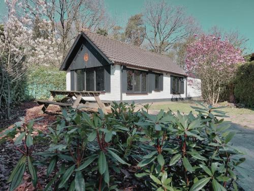 HottuB Wellnesshuisje Bos Oudveluwe in Voorthuizen, Netherlands