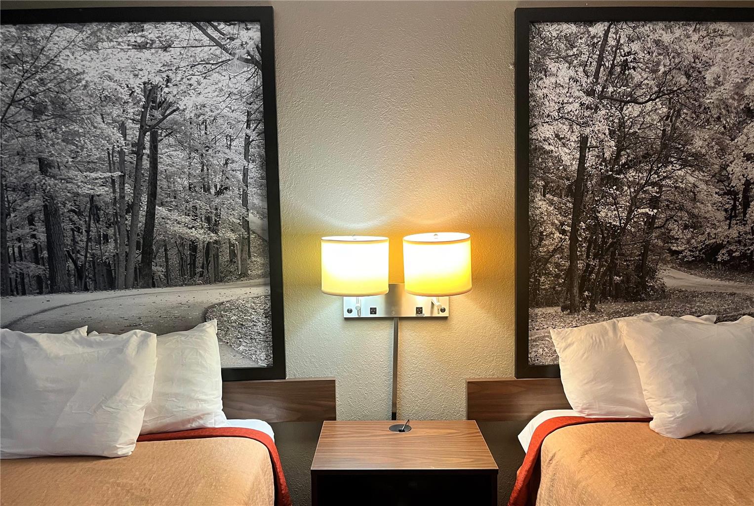 Super 8 by Wyndham Evansville North - photo 21