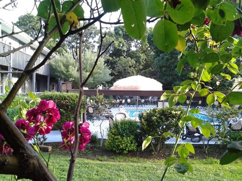 Kenny's Tipperary Inn - photo 20