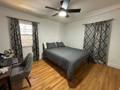 Azalea in Charlottesville, United States