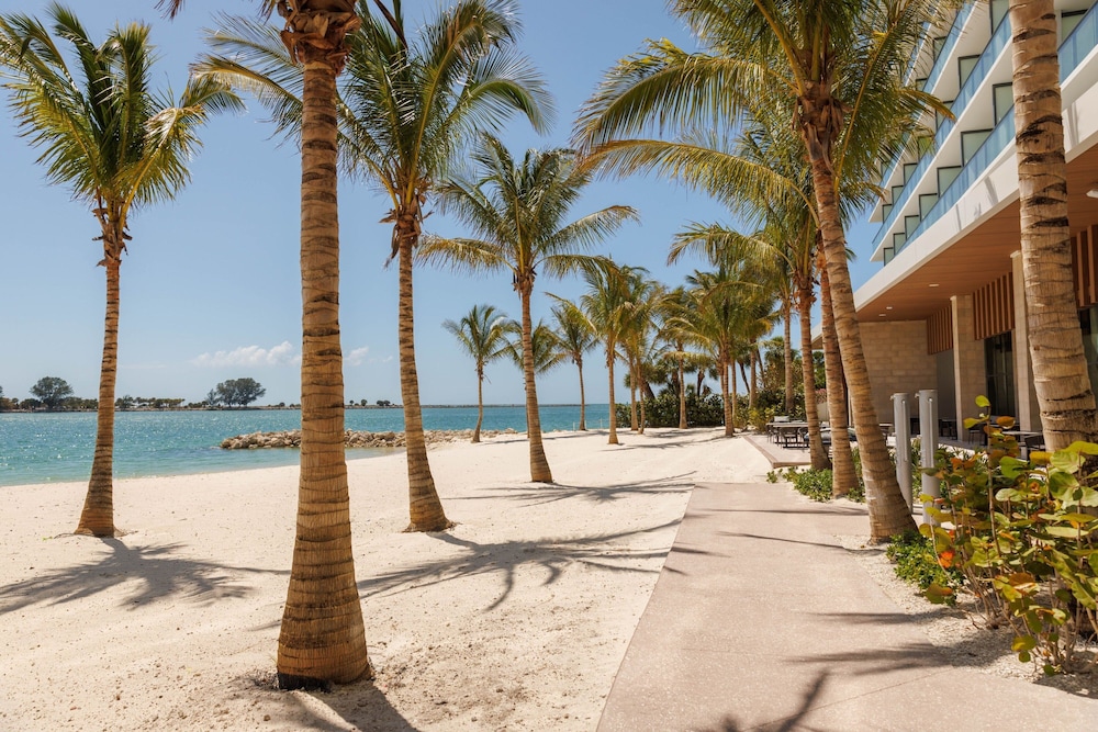 JW Marriott Clearwater Beach Resort & Spa - photo 77