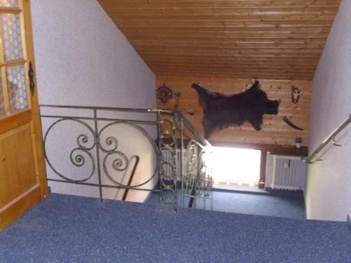 Romy — Bad Kohlgrub — photo 5