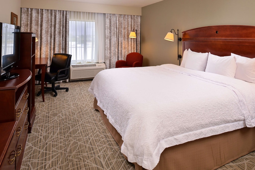 Hampton Inn by Hilton Litchfield - photo 8