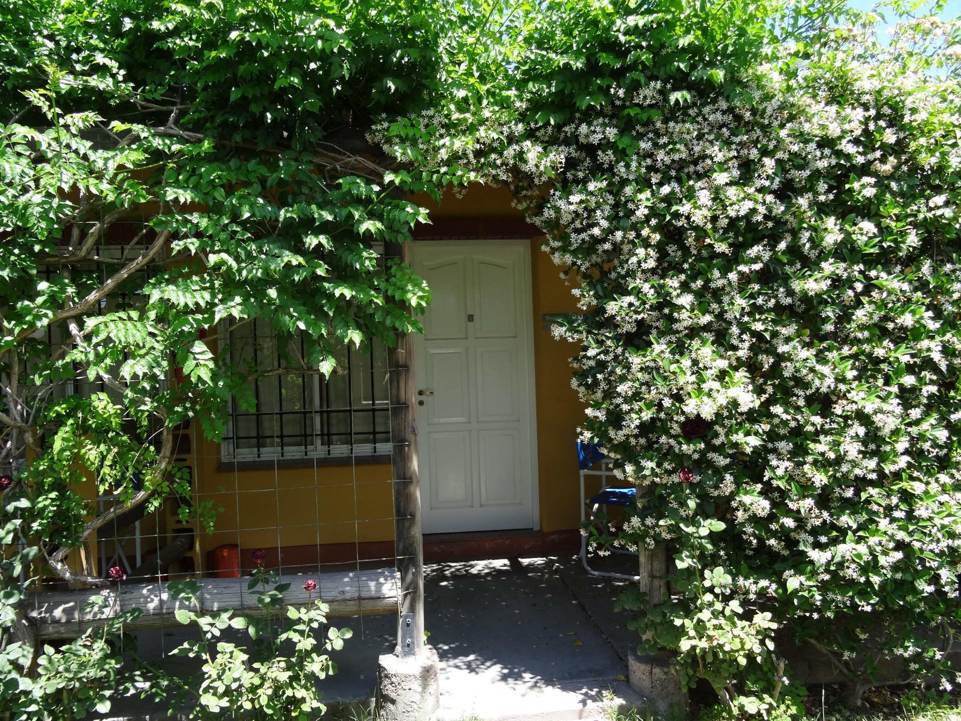 Solar Maiten in San Rafael, Argentina
